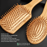 Bamboo Hair Brush (Bamboo Pins)