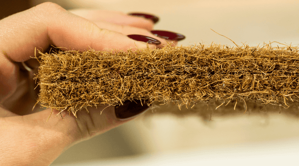 Unlocking the Power of Ecotique's Premium Coconut Coir: The Ultimate Sustainable Solution
