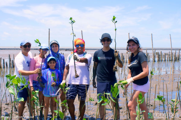 A Day of Community and Conservation: Our Mangrove Plantation in Samut Prakan