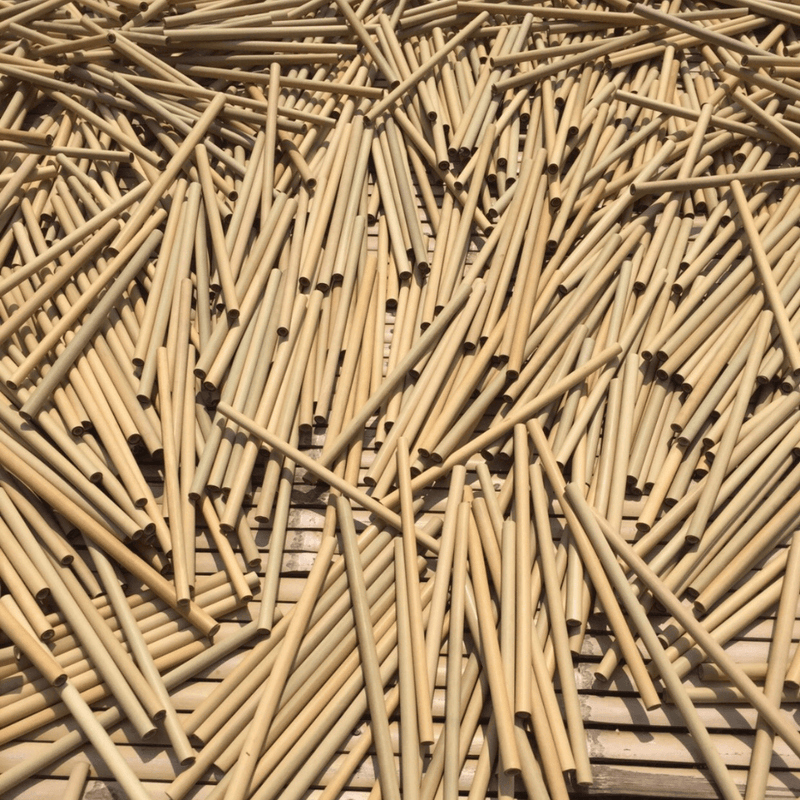 100% Biodegradable Bamboo Straws (10-Piece Set)