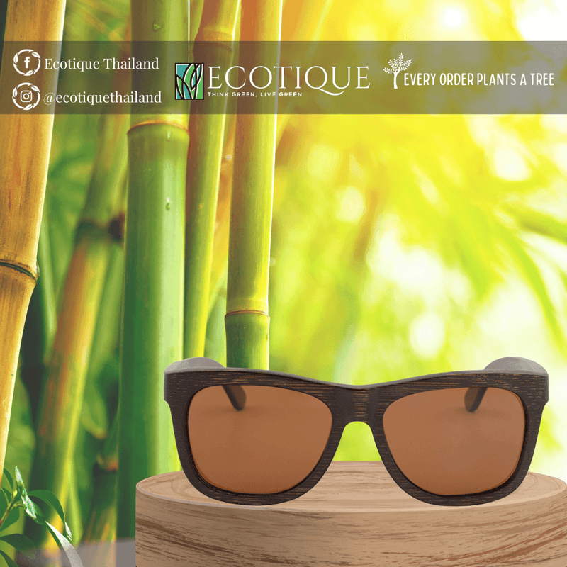 Bamboo Sunglasses 